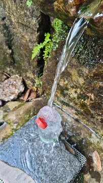 das quellfrische wasser aus der erde