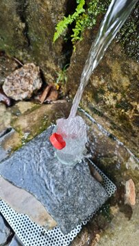 das quellfrische wasser aus der erde