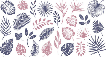 Fototapeta premium Elegant Tropical Botanical Leaf Collection with Monstera, Palm, Fern and Exotic Foliage in Minimal Hand Drawn Vector Illustration Style