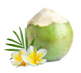 Green coconut, plumeria flowers and palm leaf isolated on white © New Africa