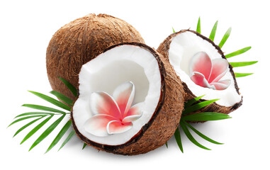 Fresh coconuts, plumeria flowers and green palm leaves isolated on white © New Africa