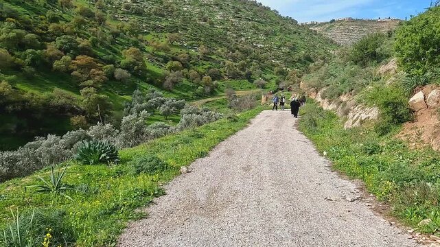 Irbid, Jordan : A group of athletes hiking between mountains and plants to reach the Al-Arais pond, near the Jordanian border