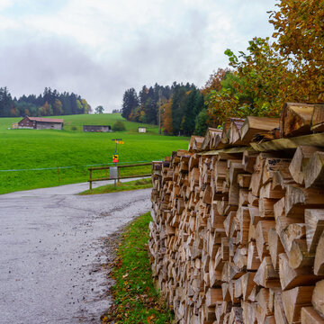 Pile of firewood, in northeast Switzerland