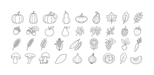 Obraz premium Collection of hand-drawn autumn harvest icons and seasonal produce illustrations