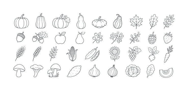 Collection of hand-drawn autumn harvest icons and seasonal produce illustrations