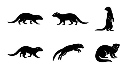 Obraz premium Ferret Silhouette Collection, Vector Animal Icons Set, Mammal Wildlife Poses, Black and White Graphic Elements for Design