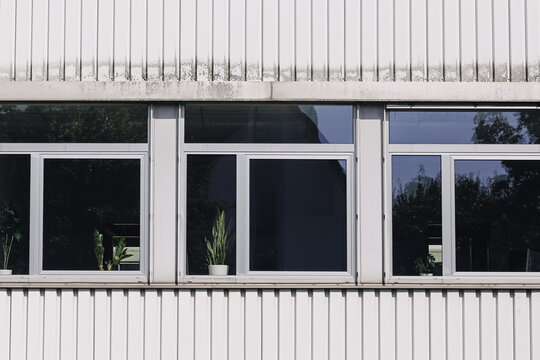 Dark reflective windows line a light metal industrial building facade in daylight. Potted plants visible behind the glass add detail to a modern commercial architecture and workplace background.