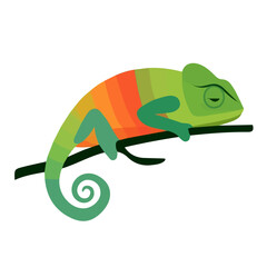 Chameleon, flat 2D graphic illustration in a modern minimal style, isolated on a white background. © Antoni