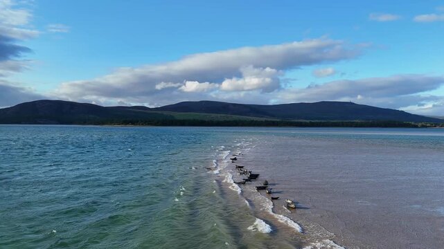 Panoramic aerial shot of seal sanctuary on sandy beach in Loch Fleet estuarine landscape near Dornoch , Scotland , UK