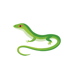 Fototapeta premium Simple flat 2D illustration of Glass Lizard, modern minimalist artwork, isolated on a white background.