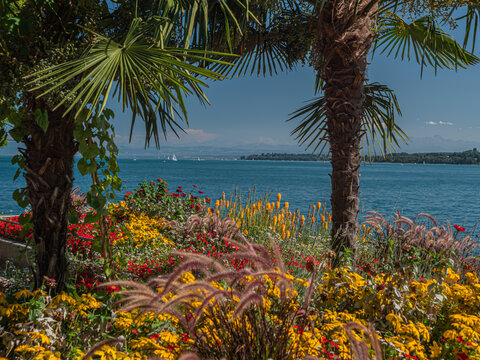 Fleurs &agrave; &Uuml;berlingen