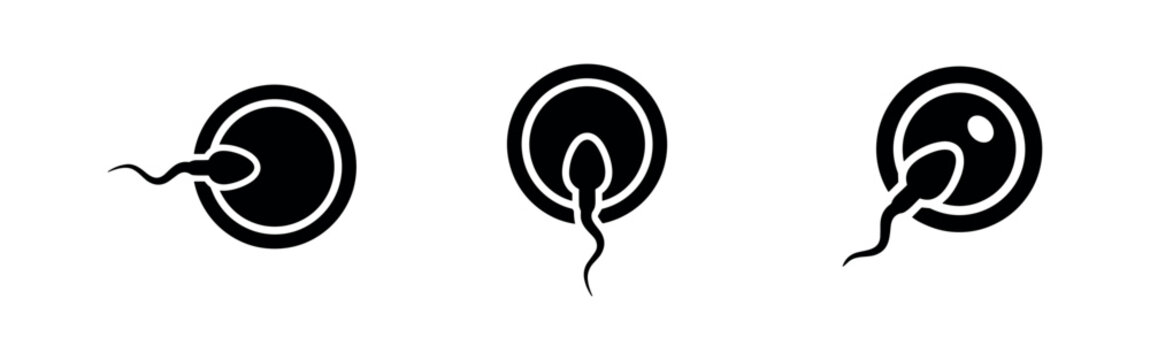 Sperm and egg fertilization icons. Reproductive biology and fertility vector symbols.