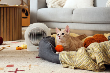 Cute cat with toy pumpkin lying in pet bed and electric fan heater at home on autumn day