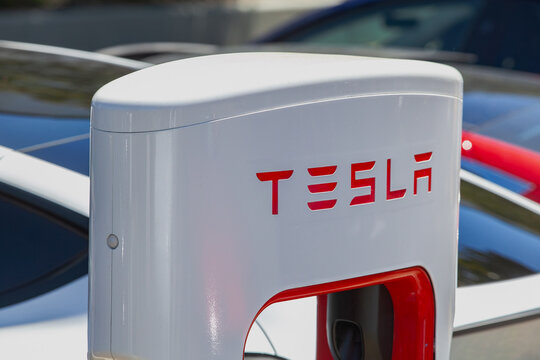 Close‑up of Tesla charging unit displaying red corporate lettering on white enclosure at contemporary electric‑vehicle charging site