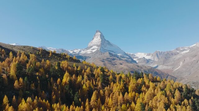 Aerial drone view of the Matterhorn mountain peak rising above a colorful autumn forest in Switzerland on a bright sunny day. Alpine autumn landscape.