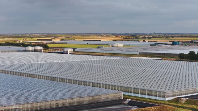 Aerial view of modern greenhouses for growing vegetables and fruits powered by wind turbines in the background. Sustainable green energy agriculture. 