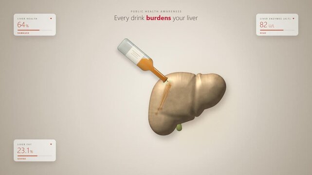 Alcohol awareness infographic with a liver damaged by drinking and healing after cutting back