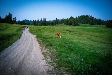 Pieniny, polskie góry, Małopolska, Sądeckie © Maciej G. Szling