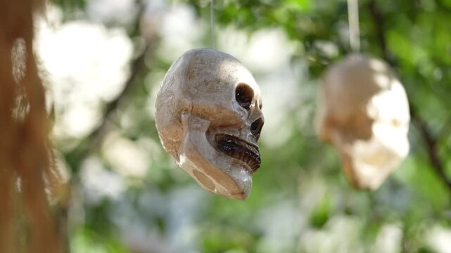Skull decoration for Halloween outdoors. Skull ornament with empty eye sockets. Creepy skull hanging in green garden. Scary skull close-up with blurred background.