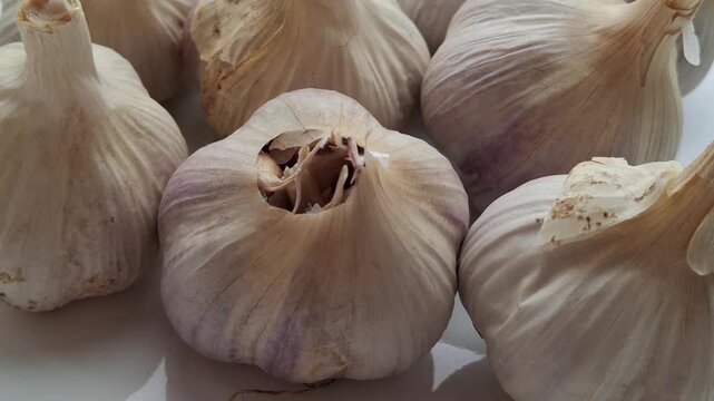 heads of ripe, homegrown garlic from one's own garden (autumn harvest)