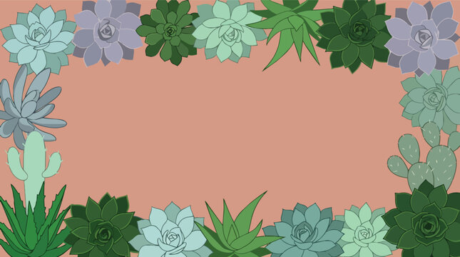 Succulent and cactus border frame with desert house plants in modern flat vector illustration for botanical branding and organic skincare packaging