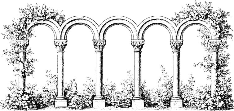 Antique engraved cloister arches and vine covered colonnade isolated on white background for historical background and architectural design use