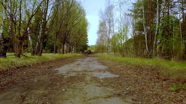 Abandoned asphalt road in overgrown forest near derelict buildings in Chernobyl exclusion zone, post-apocalyptic nature reclaiming ruins