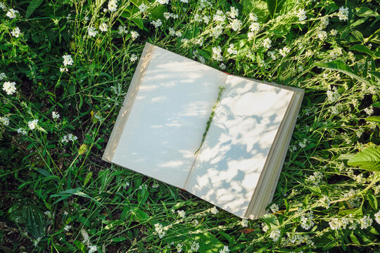 Open book with pressed flower and floral shadow on pages in green meadow