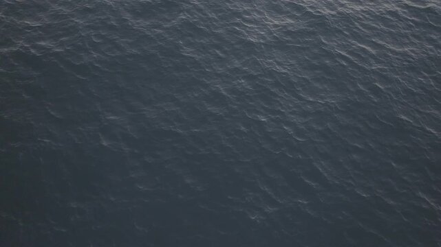 blue water surface d-log profile (ungraded)