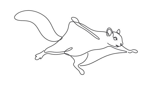Flying Squirrel Continuous One Line Art Minimalist Illustration