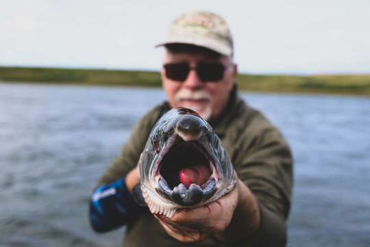 Angler proudly holds freshly caught salmon toward camera, mouth open to reveal vivid detail of fish and lure, capturing Alaska&rsquo;s fishing excitement and success.