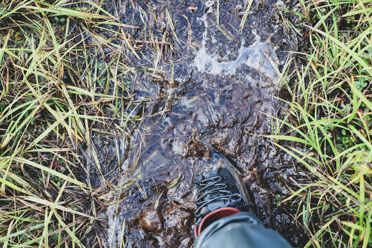 Close‑up of hiking boot stepping into muddy water surrounded by grass, capturing texture and motion of outdoor exploration in Alaska&rsquo;s rugged terrain.