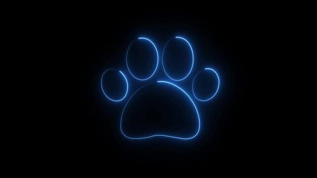 Glowing Neon Paw Print Icon Animation on Black Background, Pet Care, Veterinary, Animal Footprint Symbol, Modern cyan and pink Light 4K Motion Graphics