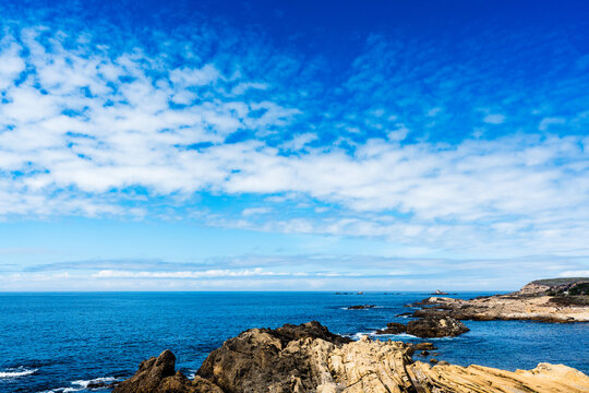 view of Point Lobos, California