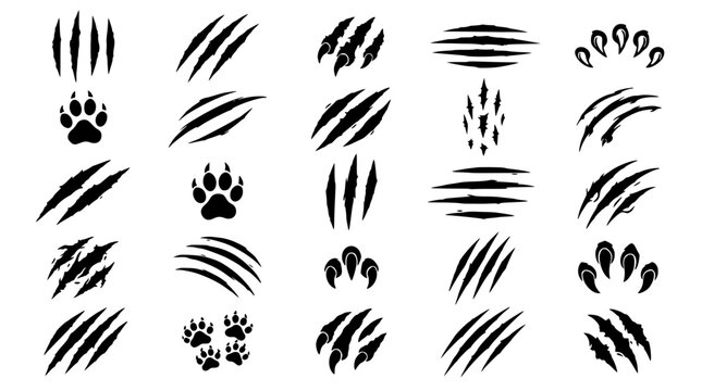 Animal Claw Scratches and Paw Prints Vector Elements Collection Featuring Wild Beast Monster Slash Marks and Shredded Paper Effects for Dynamic Designs