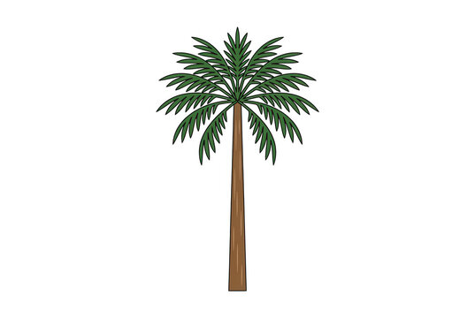 Icono de palmera tropical