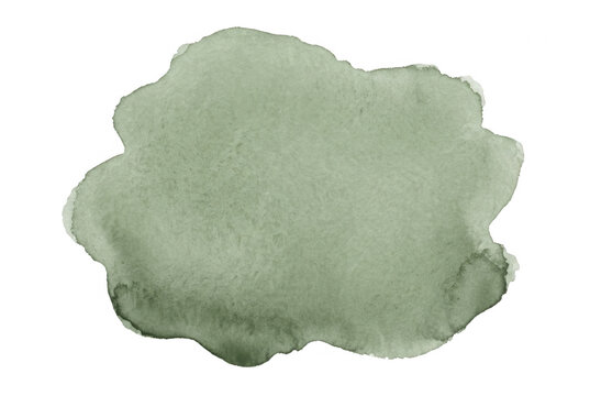 Mancha de acuarela verde salvia sobre fondo blanco