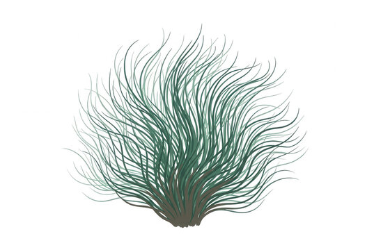 Ilustraci&oacute;n vectorial de un arbusto verde con hojas largas y finas en forma de hierba, dise&ntilde;ado con un estilo minimalista y l&iacute;neas fluidas sobre un fondo blanco limpio, ideal para dise&ntilde;o gr&aacute;fico.