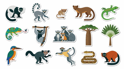 Obraz premium Flat Style Lemurs, Chameleons, Birds, Snake, Lizards, Trees Vector Illustrations