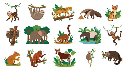 Fototapeta premium Flat vector illustration of tropical jungle rainforest animals set. Wildlife mammals collection for nature education.