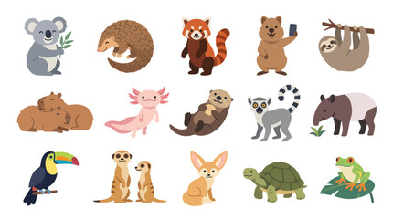 Fototapeta premium Cute Cartoon Animals Vector Illustration: Koala, Sloth, Toucan, Frog, Turtle, Fennec