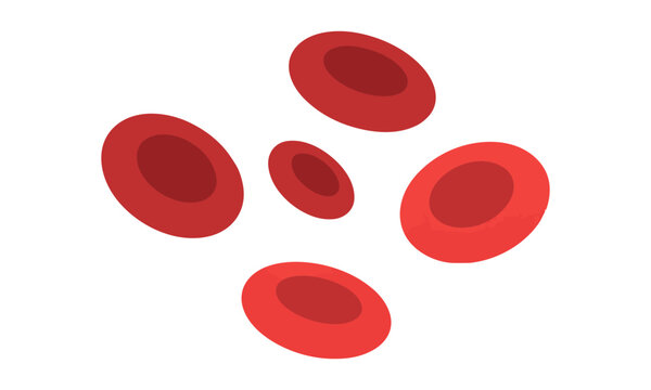 Red blood cells with biconcave shapes and smooth edges in a stylized flat design Medical science concept