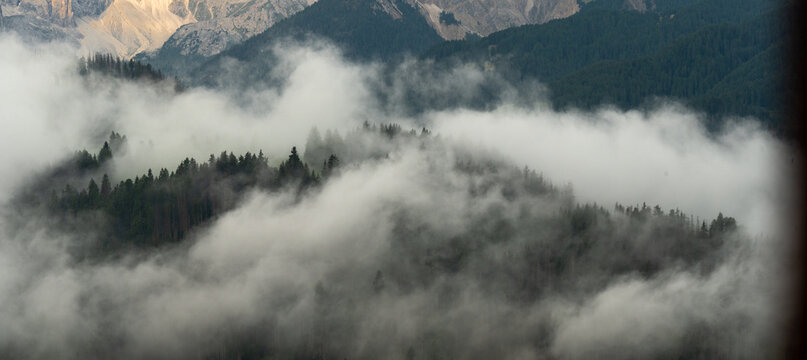 Panorama of misty pine forests in the Dolomite mountains Italy
