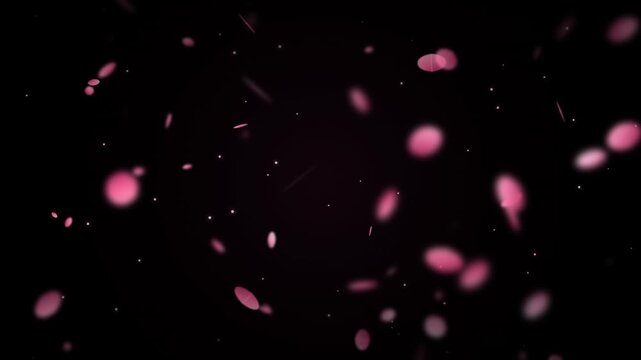 Falling pink rose petals floating on dark background animation