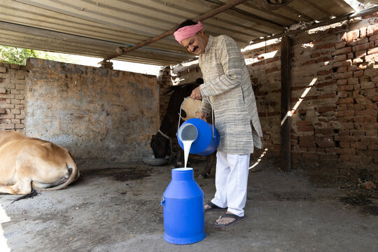 Indian milkman farmer collecting milk at dairy farm