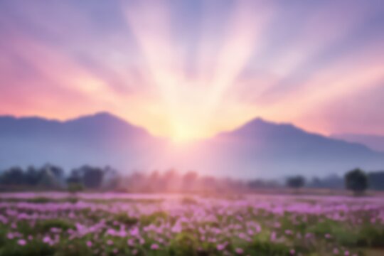 Serene Sunrise Over a Field of Pink Flowers with Misty Mountains and Sunburst Rays in Pastel Hues Creating a Dreamy Atmosphere