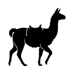 Fototapeta premium Llama carrying saddle silhouette vector illustration, Llama with saddle silhouette