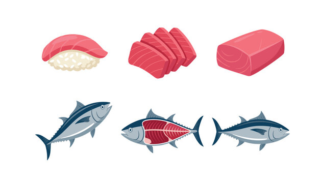A collection of fresh tuna fish and sushi vectors . whole fish, sashimi slices, nigiri, isolated white background