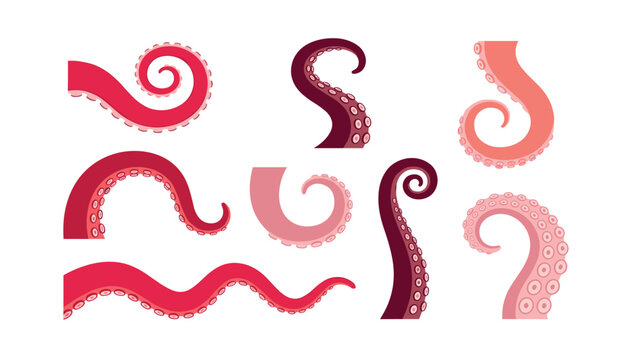 A collection of pink octopus tentacle vector illustrations . curled arms, suction cups, isolated white background