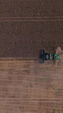 Vertical screen. Agricultural equipment operates in a field, cutting and gathering crops while dust clouds rise, illustrating the harvesting process in action